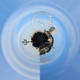 Image for article titled Shooting Challenge Polar Panoramas Gallery